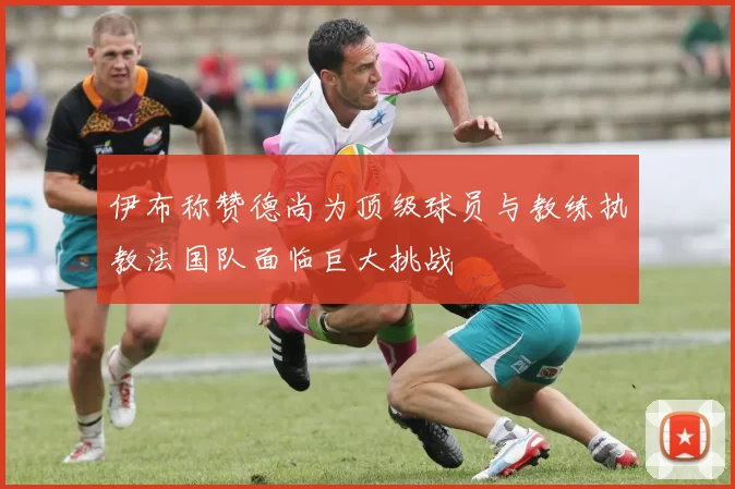 伊布称赞德尚为顶级球员与教练执教法国队面临巨大挑战